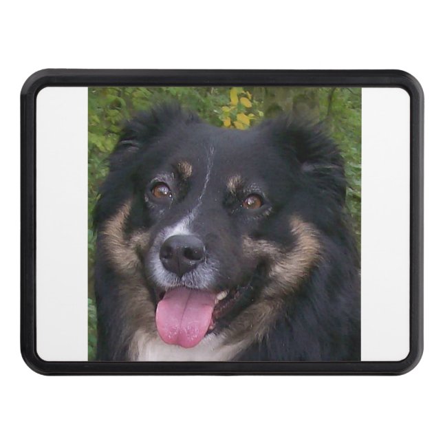 australian shepherd black tri hitch cover (Front)