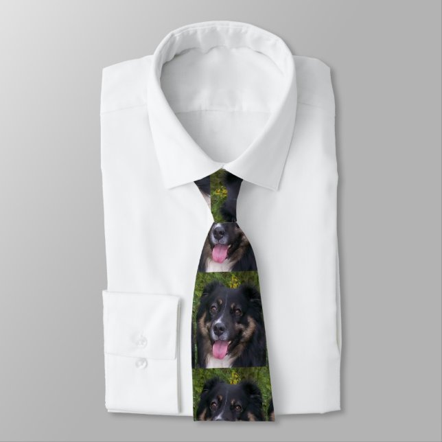 australian shepherd black tri neck tie (Tied)