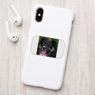 australian shepherd black tri patch