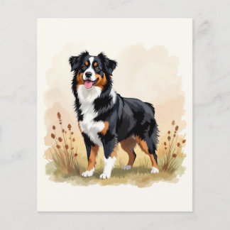 Australian Shepherd Black Tricolor Aussie Dog