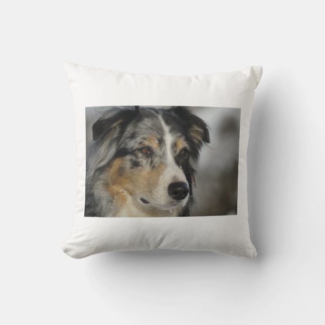 australian-shepherd-blue merle 2.png throw pillow (Front)