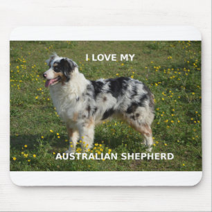 australian shepherd blue merle love w pic mouse pad