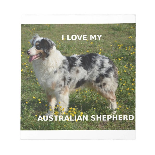 australian shepherd blue merle love w pic notepad (Front)