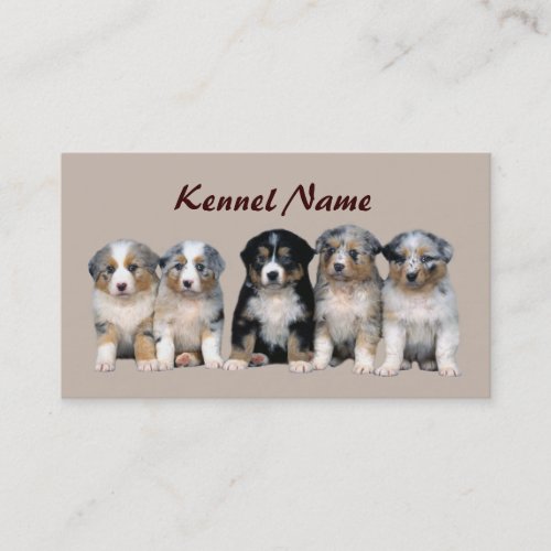 Australian Shepherd Breeder Business Card