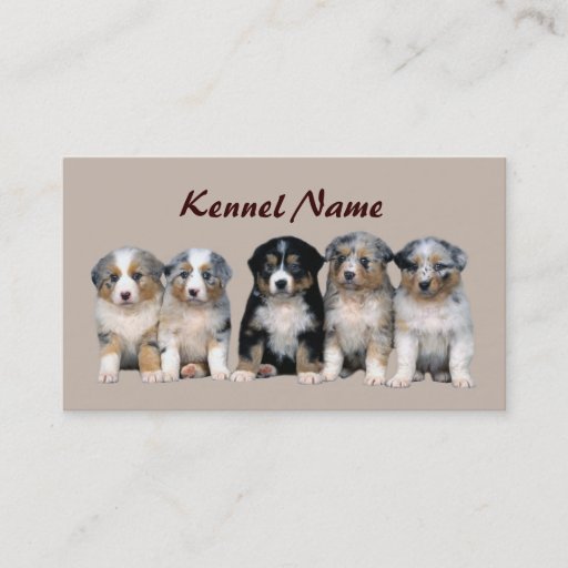 Customizable Australian Shepherd Breeder Business Card
