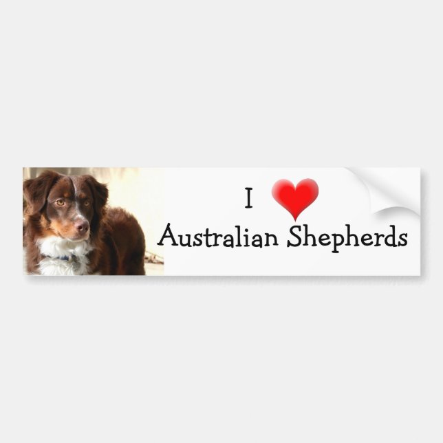 Australian Shepherd bumper sticker (Front)