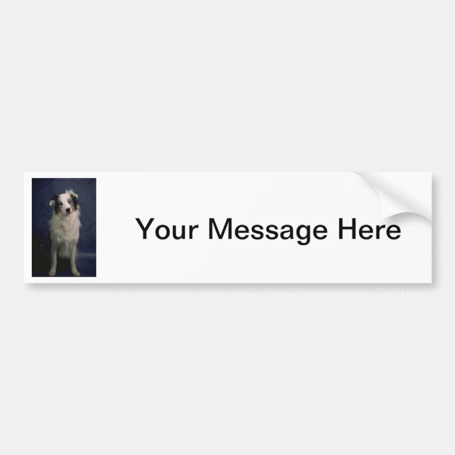 Australian Shepherd Bumper Sticker (Front)