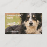 Australian Shepherd Business Card