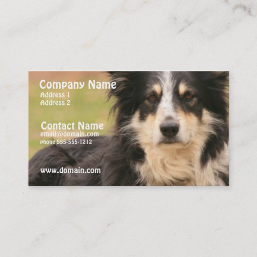 Customizable Australian Shepherd Business Card