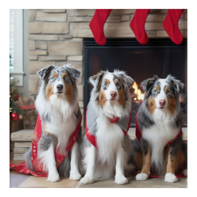 Australian Shepherd by the Fireplace Christmas Acrylic Print (Front)