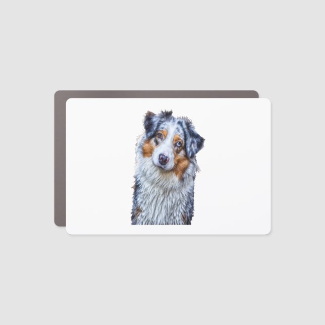 Australian Shepherd  Car Magnet (Front)