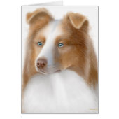 Australian Shepherd Card (Front)