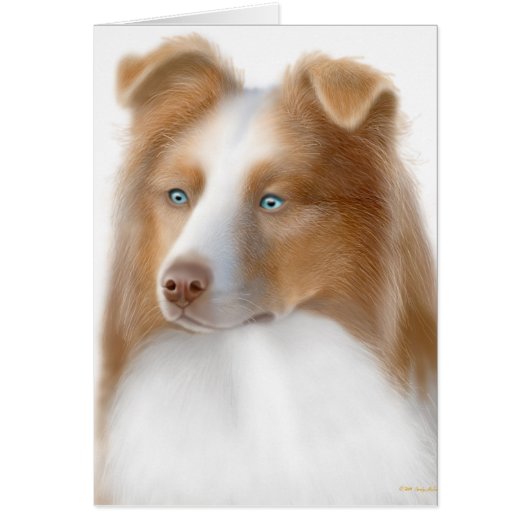 Australian Shepherd Card (Front)