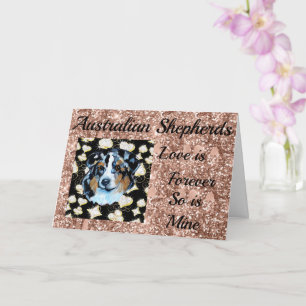 Australian Shepherd  Card
