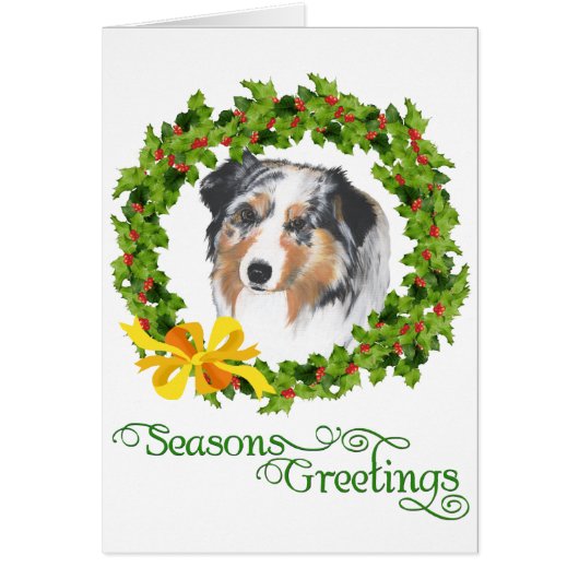 Australian Shepherd Cards (Front)