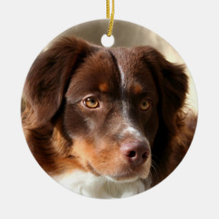 australian shepherd gift items