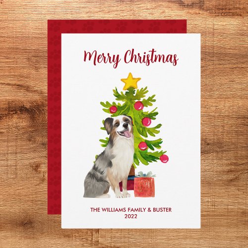 Australian Shepherd Christmas Card