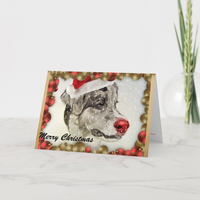 Australian Shepherd Christmas Card (Front)