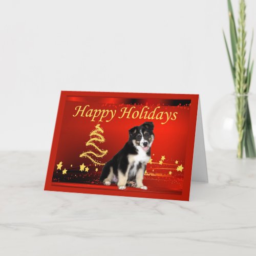 Australian Shepherd Christmas Card Stars