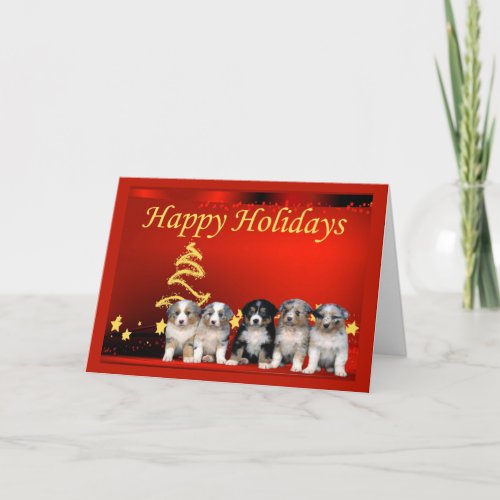 Australian Shepherd Christmas Card Stars