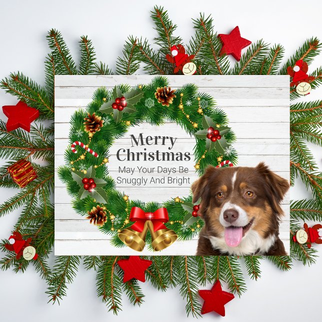 Australian Shepherd Christmas Holiday Postcard (Australian Shepherd Christmas Pine Cone Wreath Holiday Postcard)