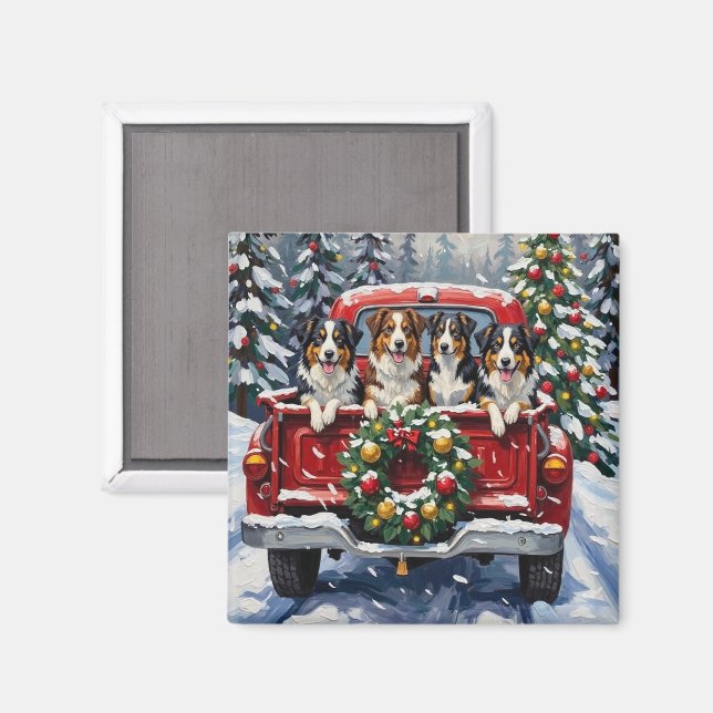 Australian Shepherd Christmas Red Truck Holiday Magnet (Front/Back)