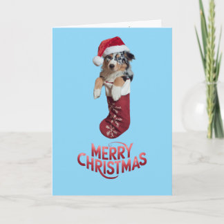 Australian Shepherd Christmas Stocking Card
