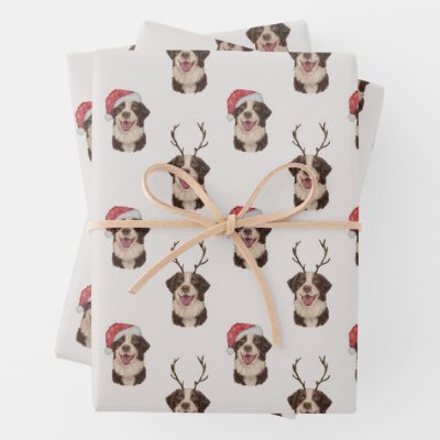 Australian shepherd Christmas wrapping paper