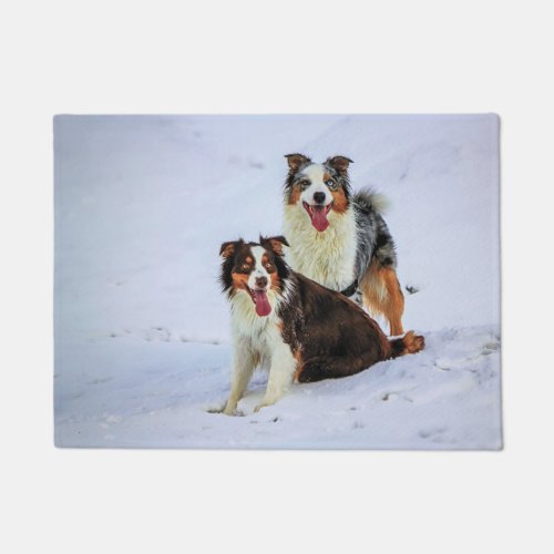 Australian shepherd couple dogs doormat