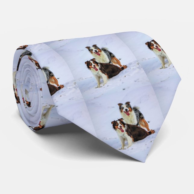 Australian shepherd couple dogs neck tie (Rolled)
