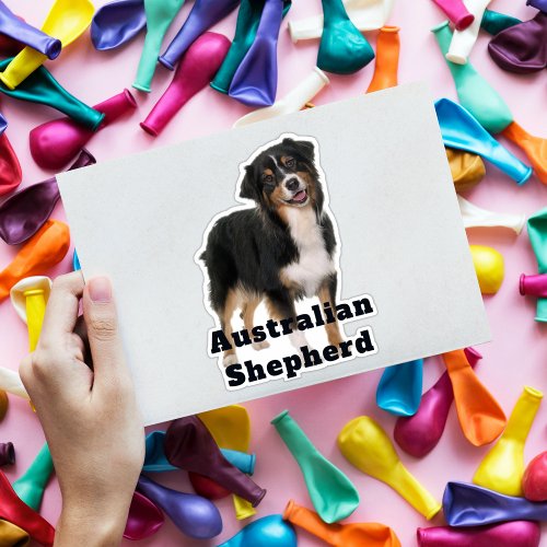 Australian Shepherd Custom Cut Sticker