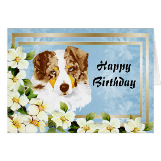 Australian Shepherd Puppies Happy Birthday Gifts on Zazzle