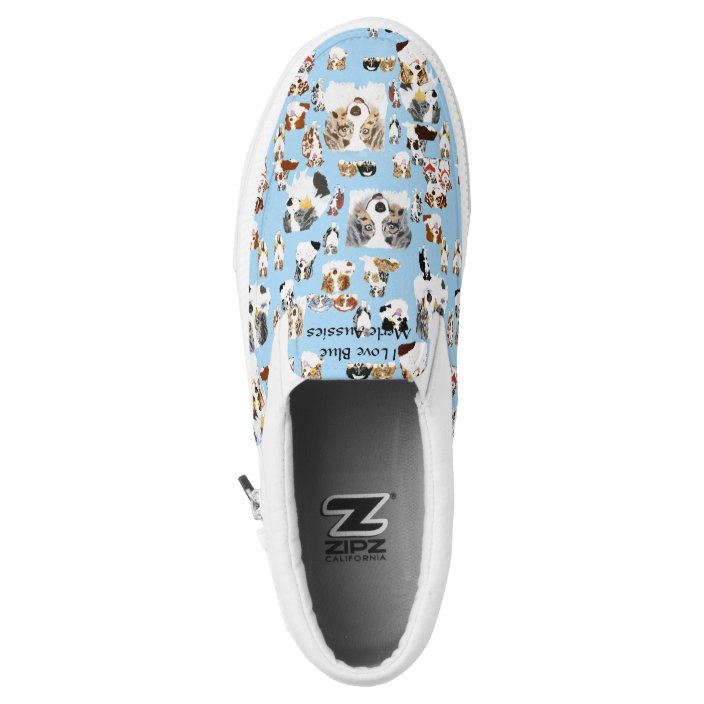 australian shepherd shoes