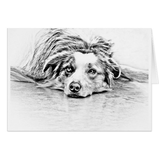 Australian Shepherd dog art Cards (Front Horizontal)