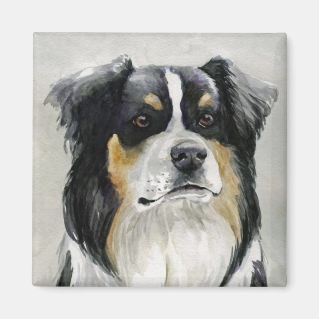 Australian Shepherd Dog Art Magnet (Front)