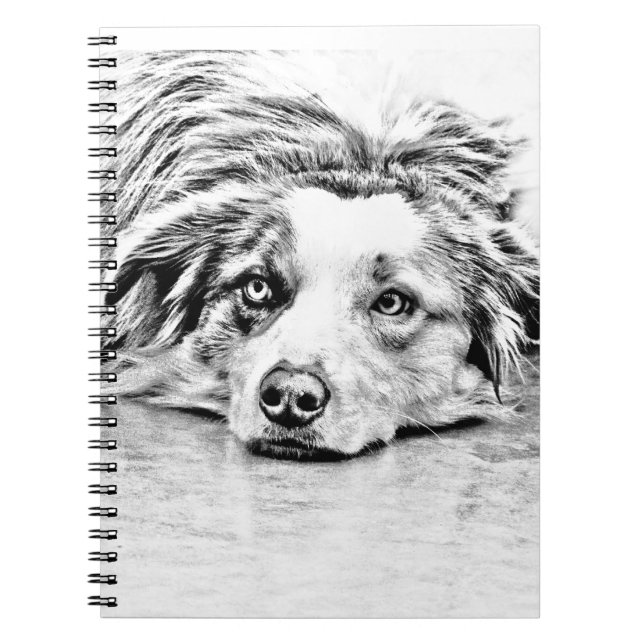 Australian Shepherd dog art Notebook (Front)