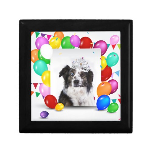 Australian Shepherd Dog Balloons Crown Birthday Gift Box