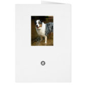 Australian Shepherd Dog Cards (Back)