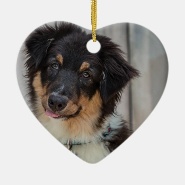 Australian Shepherd Dog Ceramic Ornament (Front)