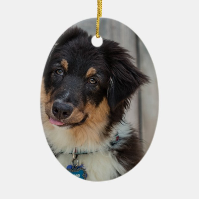 Australian Shepherd Dog Ceramic Ornament (Front)
