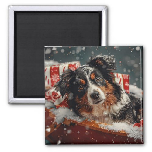 Australian Shepherd Dog Christmas Festive Magnet