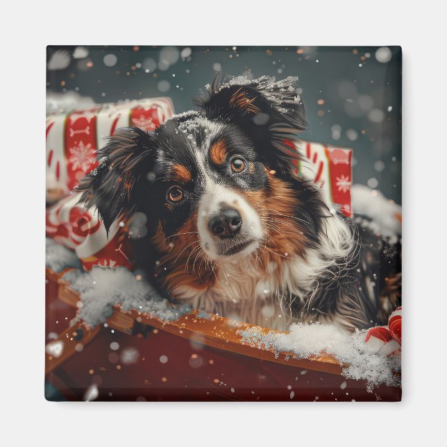 Australian Shepherd Dog Christmas Festive Magnet (Front)