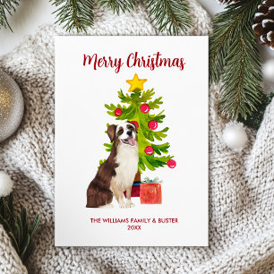Australian Shepherd Dog Christmas Holiday Card