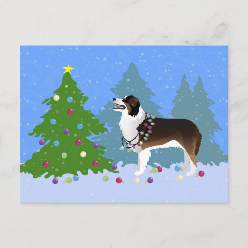 Australian Shepherd Dog Decorating Christmas Tree Holiday Postcard