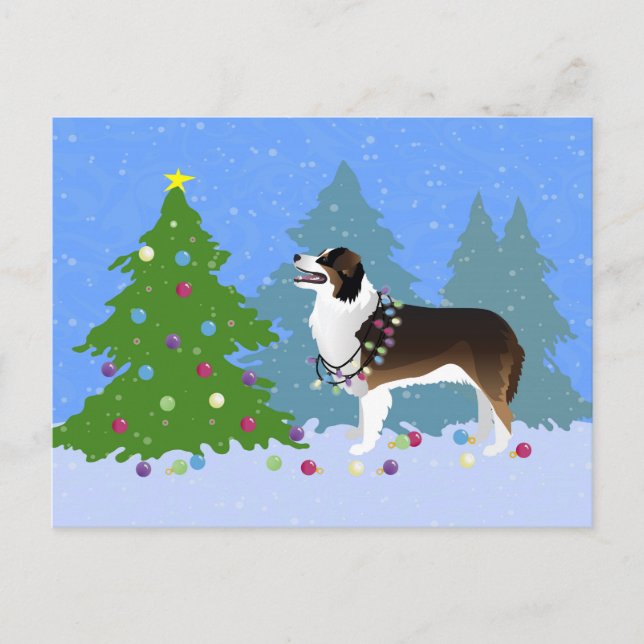 Australian Shepherd Dog Decorating Christmas Tree Holiday Postcard (Front)
