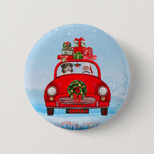 Australian Shepherd Dog In Car With Santa Claus  Button