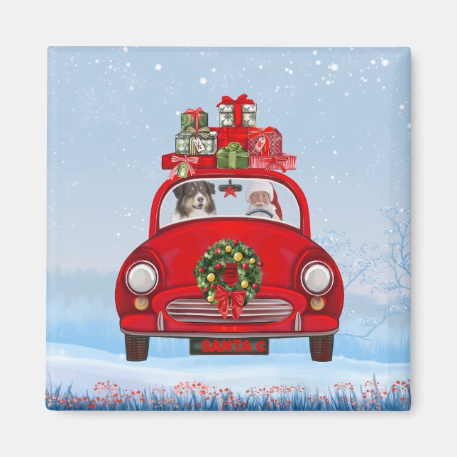 Australian Shepherd Dog In Car With Santa Claus Magnet (Front)