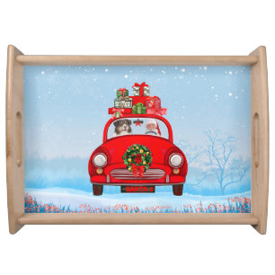 Australian Shepherd Dog In Car With Santa Claus  Serving Tray