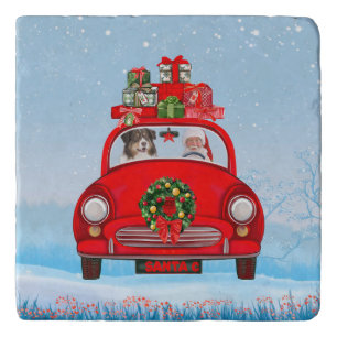 Australian Shepherd Dog In Car With Santa Claus Trivet