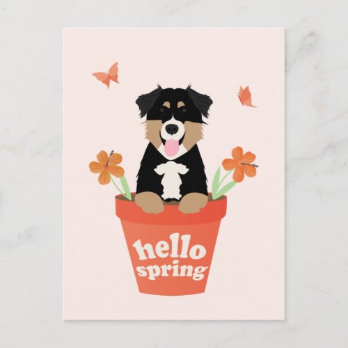 Australian Shepherd Dog In Flower Pot Postcard